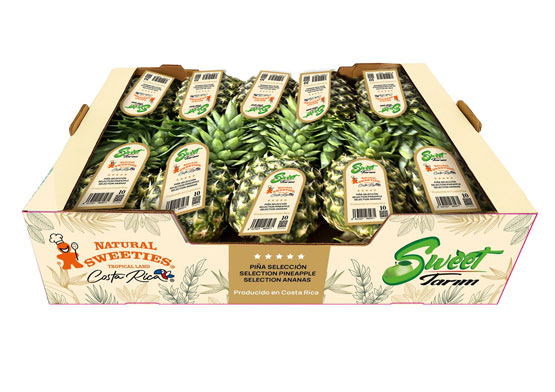 Ananas Tedarik